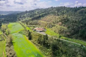 Finca en Alcobaça