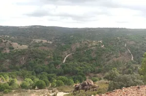 Finca Forestal en Venta Zalamea La Real