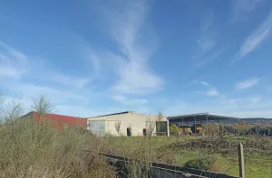 Venta finca rústica en Almoharin