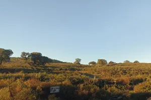 Venta finca rústica en Zufre