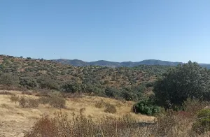 Venta finca rústica en Hornachuelos