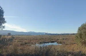 Finca Rústica en Algeciras