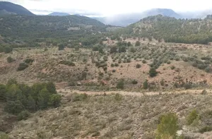 Finca Rústica en Huelma