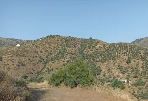 Finca Rústica en Málaga