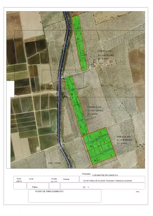 Oportunidad : Olivar en Producción