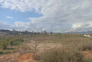 Finca rústica en Fortuna