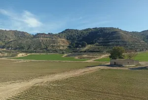 Finca rústica Cañada de San Pedro - Murcia