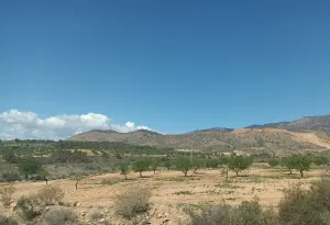 Finca rústica en Fuente Alamo de Murcia