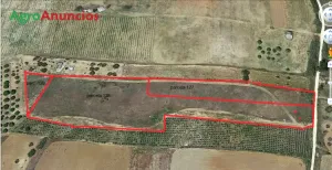 se vende  finca de 3 parcelas de 14,584 m2