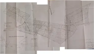 FINCA DE REGADÍO Fernán Caballero