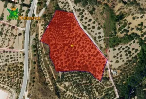 Finca rústica en VIZNAR (a 10 minutos de Granada capital)