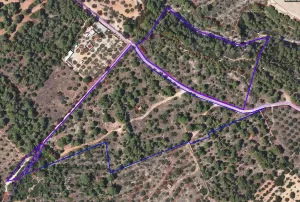 Cerca de MONT-ROIG DEL CAMP, finca con caseta