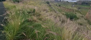 Parcela rústica con vistas