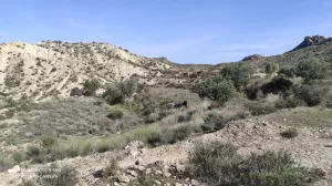 fFinca rustica en Huércal-Overa