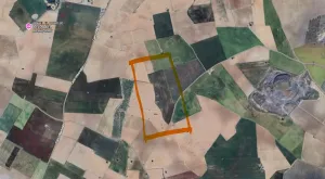 Finca de regadío en Las Tiñosas