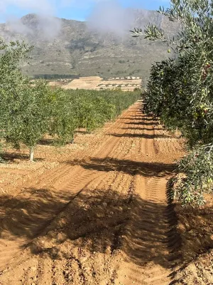 Finca Rústica de 24,5ha Casa 250m2 Nave 300m2