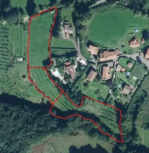 Gran conjunto de fincas colindantes