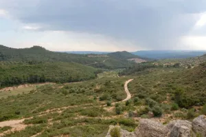 Finca rústica 340,36