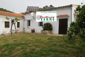 Finca de olivos ecológicos en Pozoblanco.