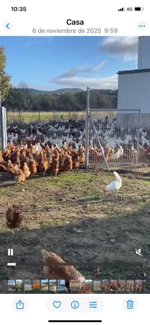 Alquiler de negocio en funcionamiento