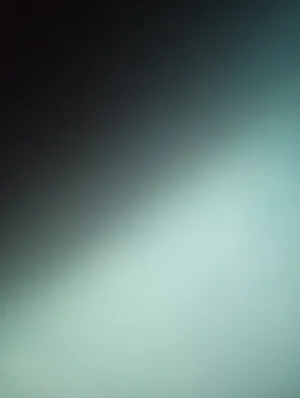 VENTA 11 HAS PARA TRUFA