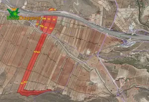 Finca con 3.300 olivos en Cozvijar.