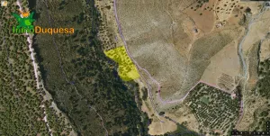 Finca rústica de olivos en Monachil.