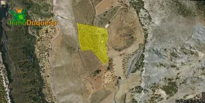 Finca rústica con 400 olivos en Monachil.