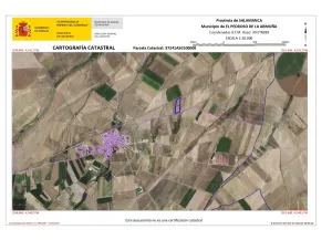 Las Monjas pol. 501 parcela 8