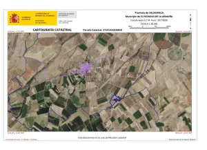 Las Caponas - Pol. 502 Parcela 20050
