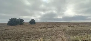 Venta finca rústica en Santa Olalla