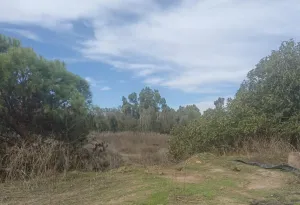 Finca Rústica en Lora del Río