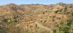 Finca Rústica en Cartama