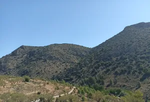 Finca Rústica en Puebla de Don Fadrique