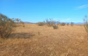 Finca Rústica en El Cubillo de Uceda