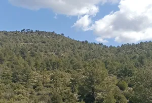 Finca Rústica en Santa Cruz de Moya