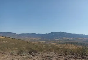 Finca Rústica en El Campillo de la Jara