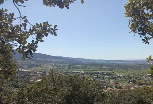 Finca Rústica en Collado Mediano