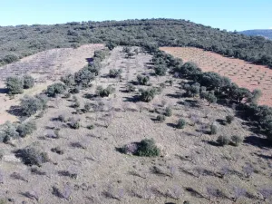 Magnifica finca en Los Navalucillos