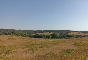 Finca Rústica en Santa Cruz de Retamar
