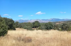 Finca Rústica en Colmenar Viejo