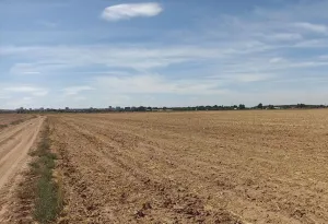 Finca Rústica en Albacete