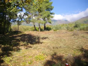 FINCA RÚSTICA  EN LA ZONA CÁLIDA DE LA SIERRA