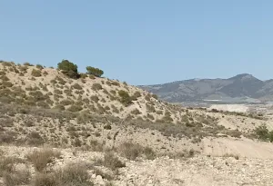 Finca Rústica en Lorca