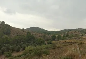 Finca Rústica en Lorca