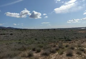 Finca Rústica en Murcia