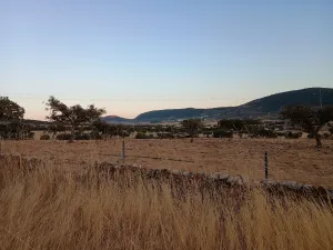 FINCA RUSTICA  EN LA ZONA DE ALCÁNTARA