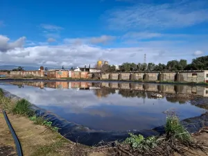Venta de granja porcina