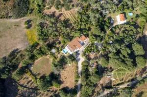 Finca en Faro - Aljeruz