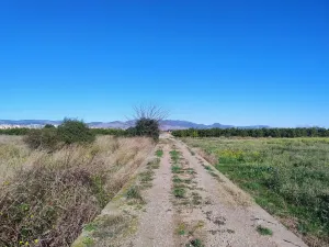 VENTA DE TERRENO RUSTICO DE USO AGRARIO